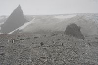 
DSC00187